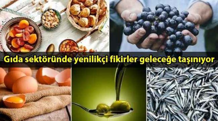 GIDA, GIDA GÜVENLİĞİ VE GIDA 4.0 BİLİM KURULU